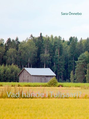cover image of Vad hände i Tulisaari?